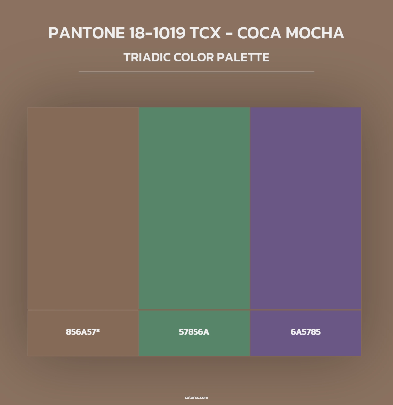 PANTONE 18-1019 TCX - Coca Mocha - Triadic Color Palette