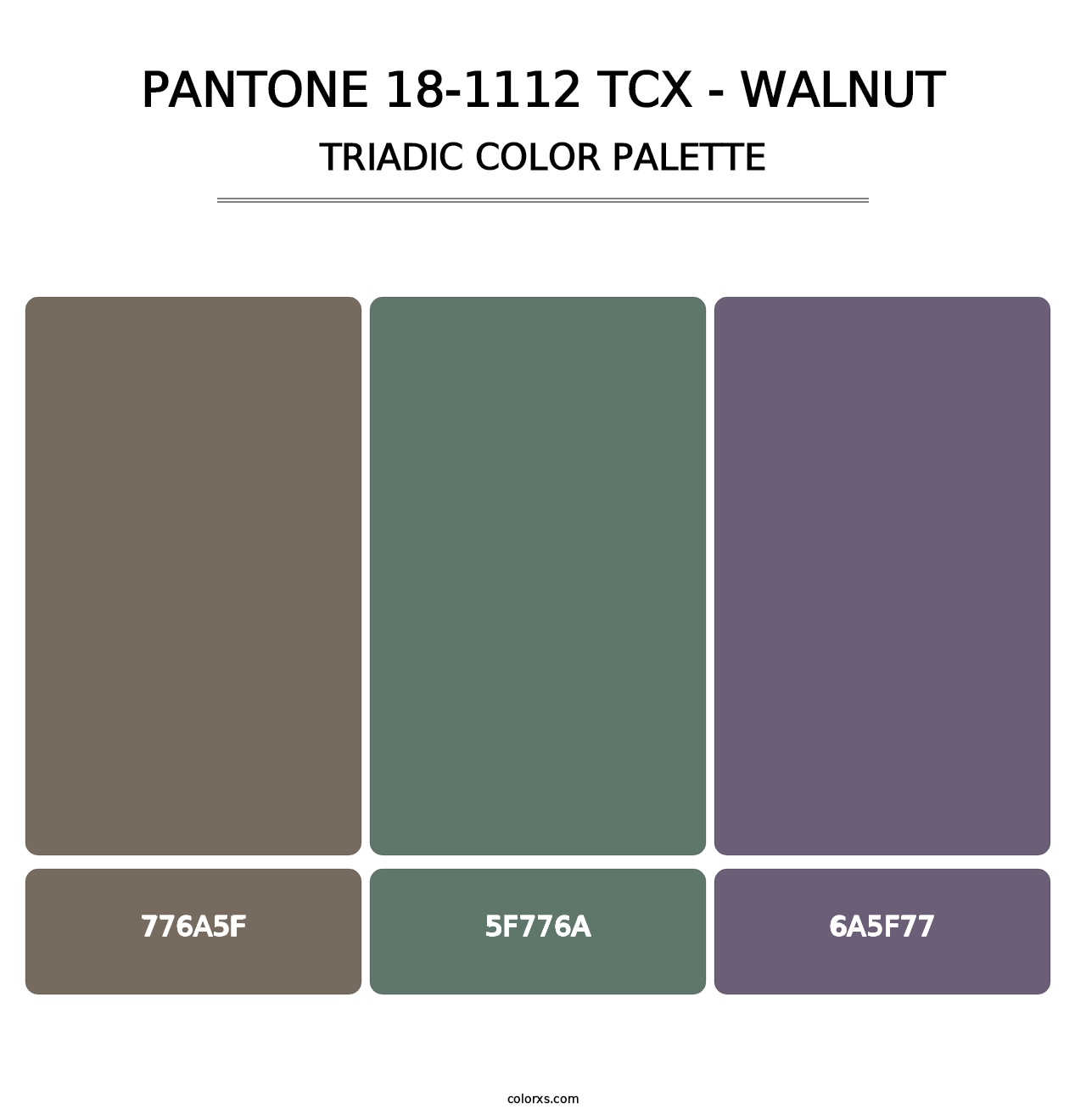 PANTONE 18-1112 TCX - Walnut - Triadic Color Palette
