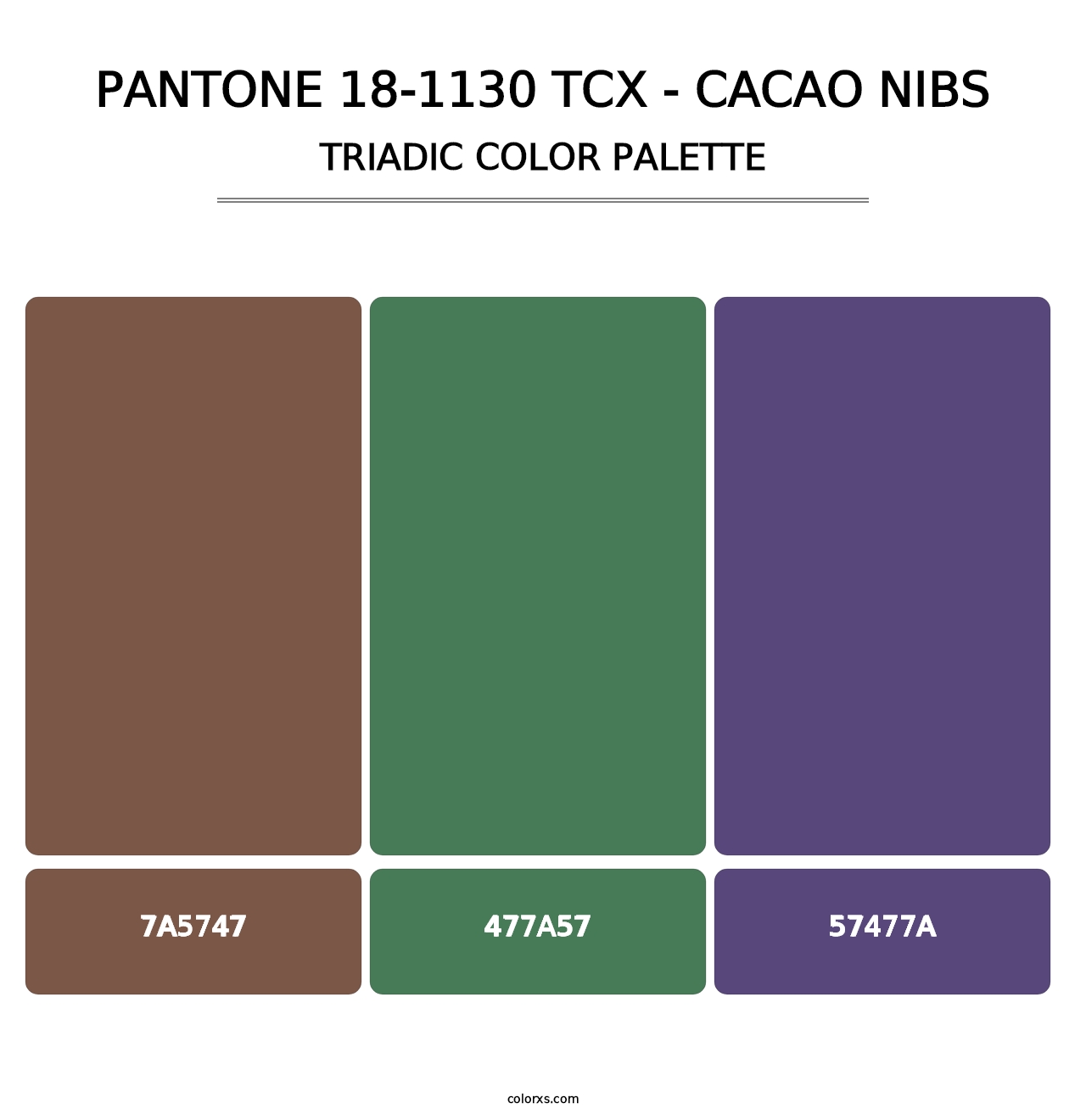 PANTONE 18-1130 TCX - Cacao Nibs - Triadic Color Palette