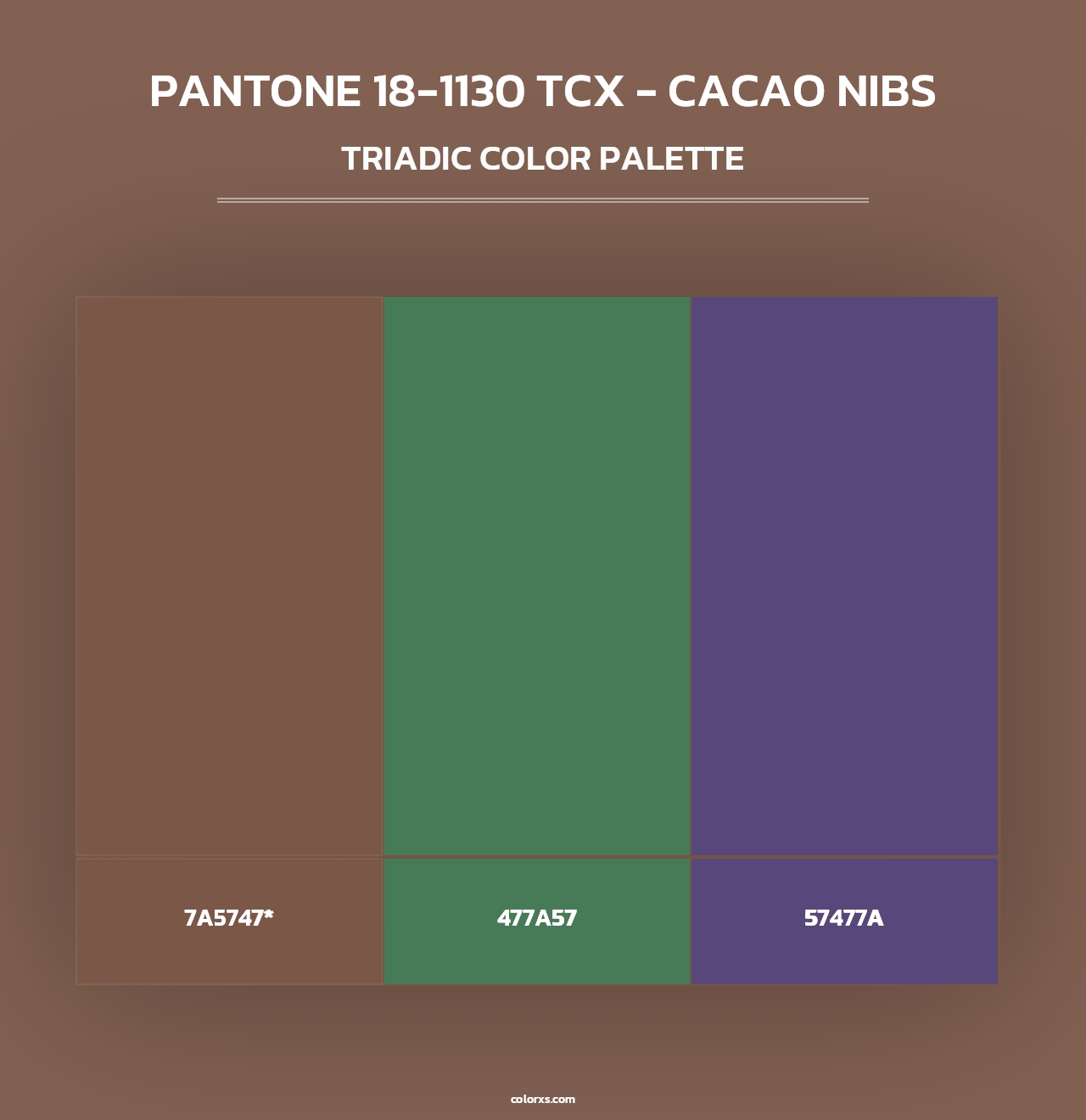 PANTONE 18-1130 TCX - Cacao Nibs - Triadic Color Palette