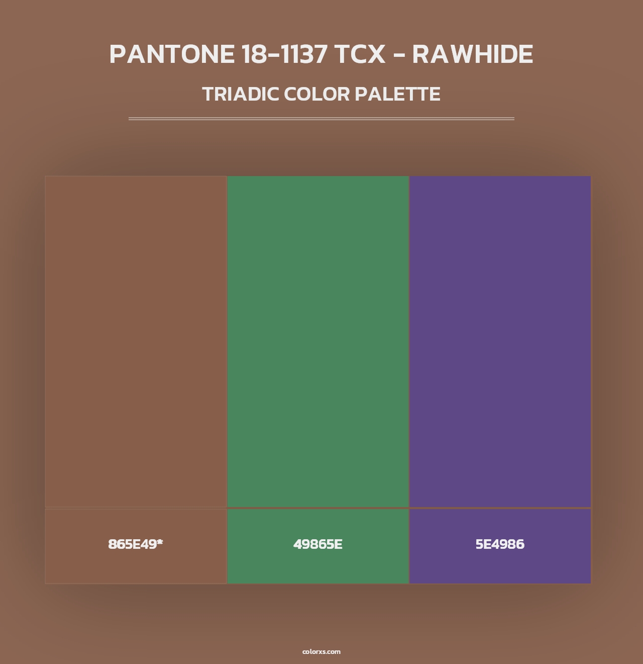 PANTONE 18-1137 TCX - Rawhide - Triadic Color Palette