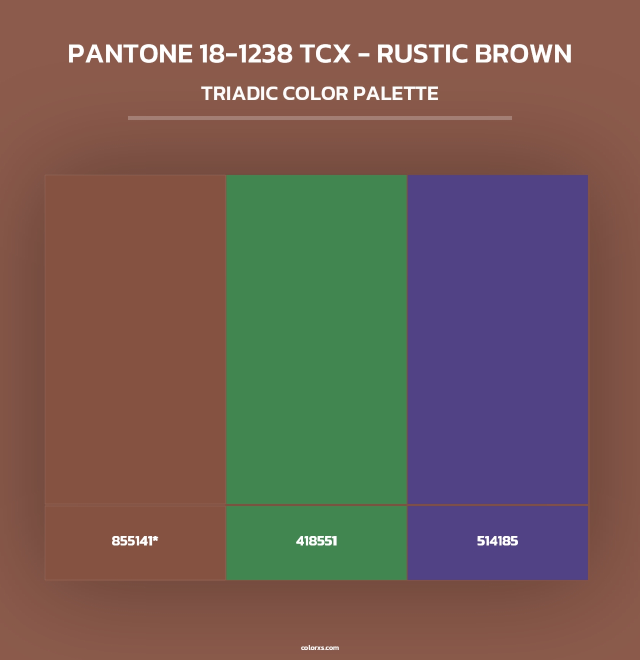 PANTONE 18-1238 TCX - Rustic Brown - Triadic Color Palette