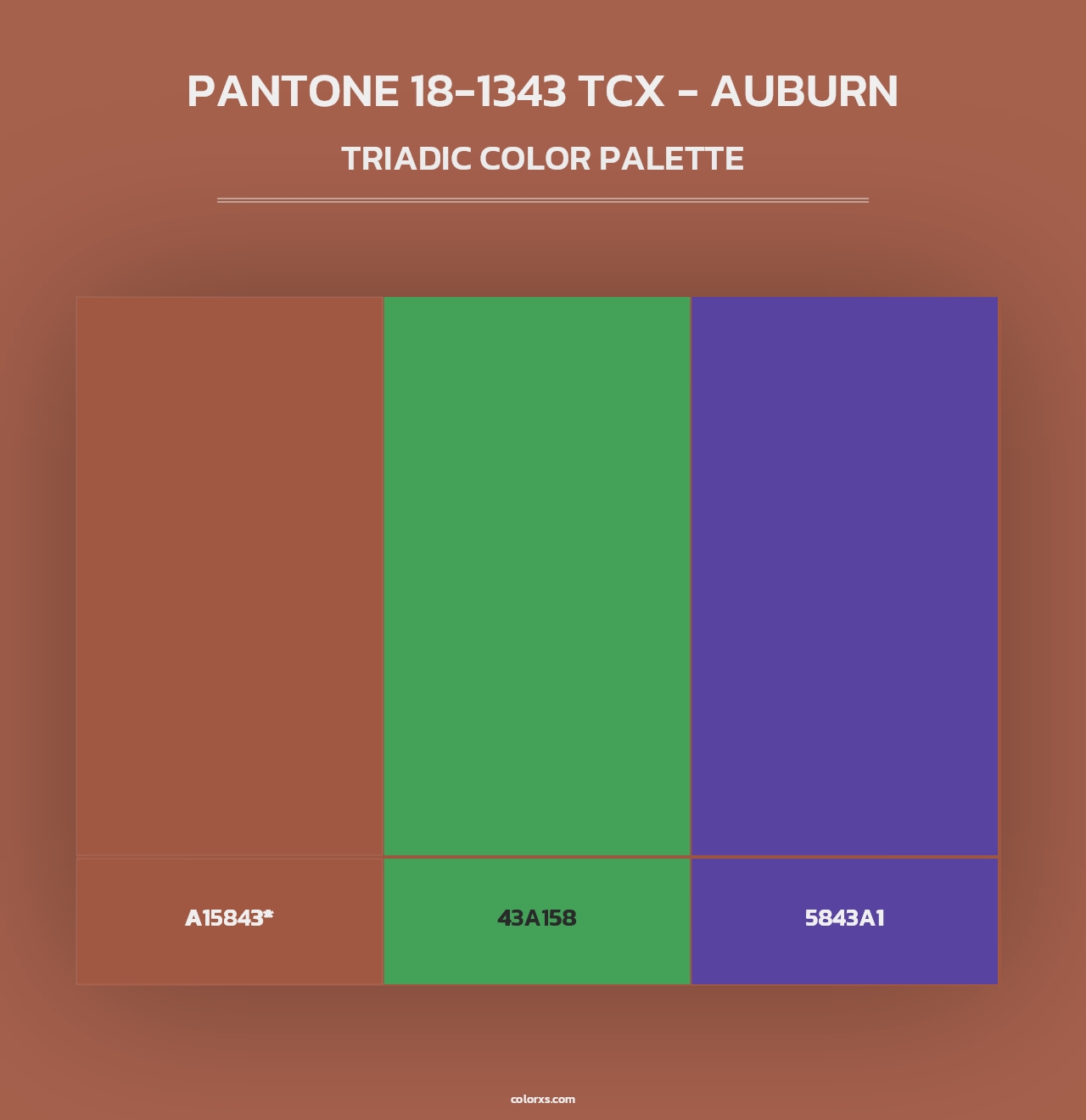 PANTONE 18-1343 TCX - Auburn - Triadic Color Palette