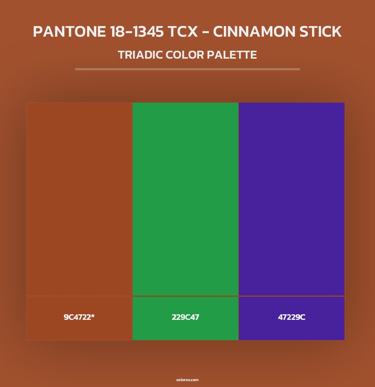 PANTONE 18-1345 TCX - Cinnamon Stick - Triadic Color Palette