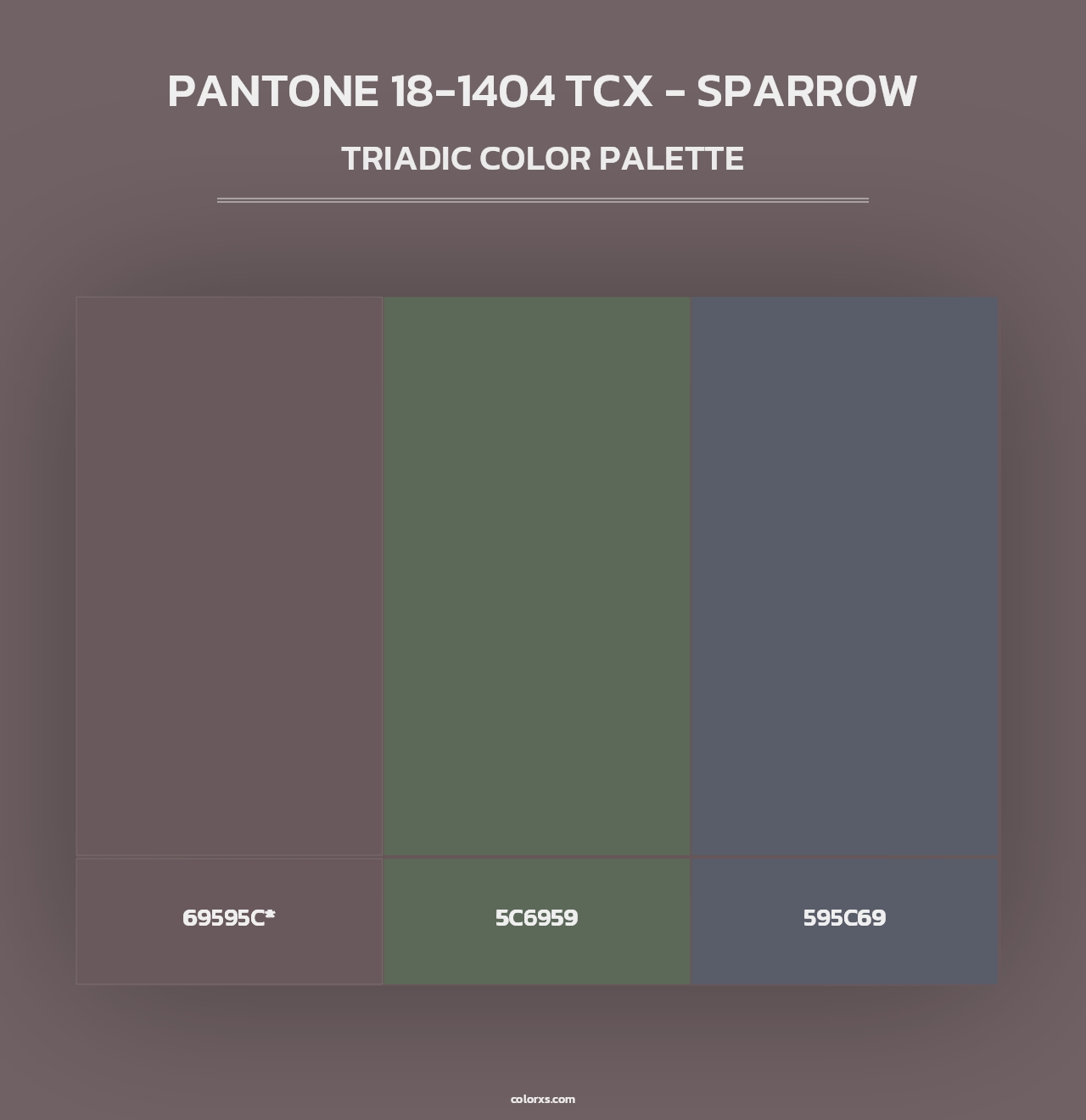PANTONE 18-1404 TCX - Sparrow - Triadic Color Palette