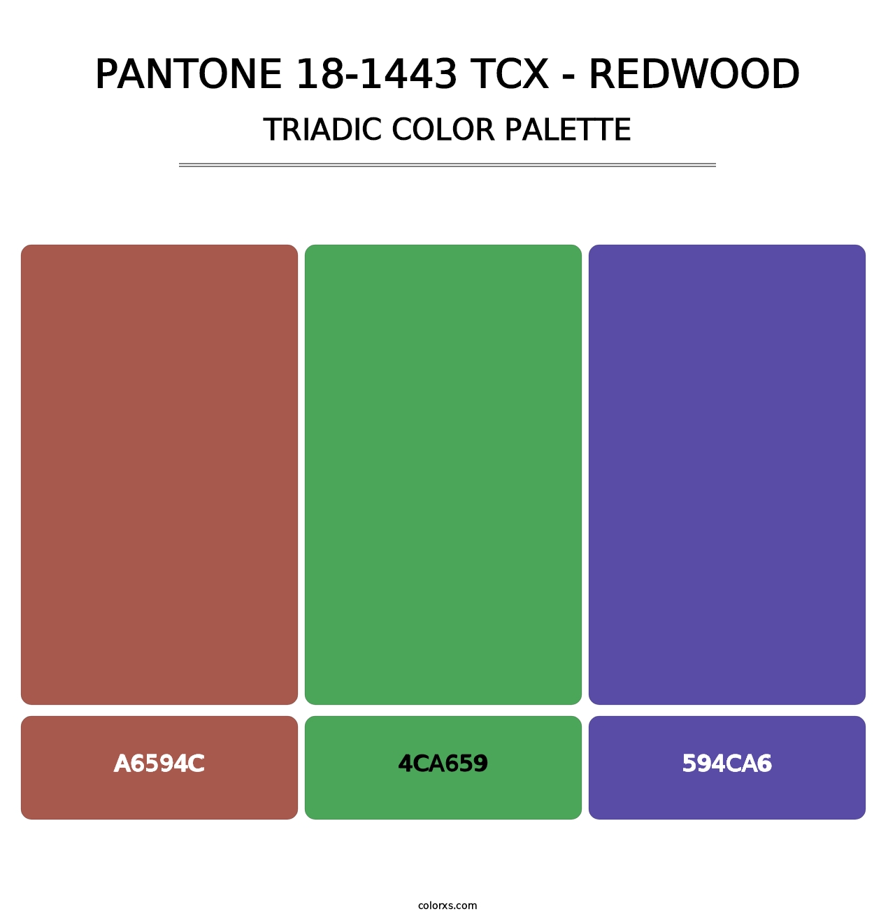 PANTONE 18-1443 TCX - Redwood - Triadic Color Palette