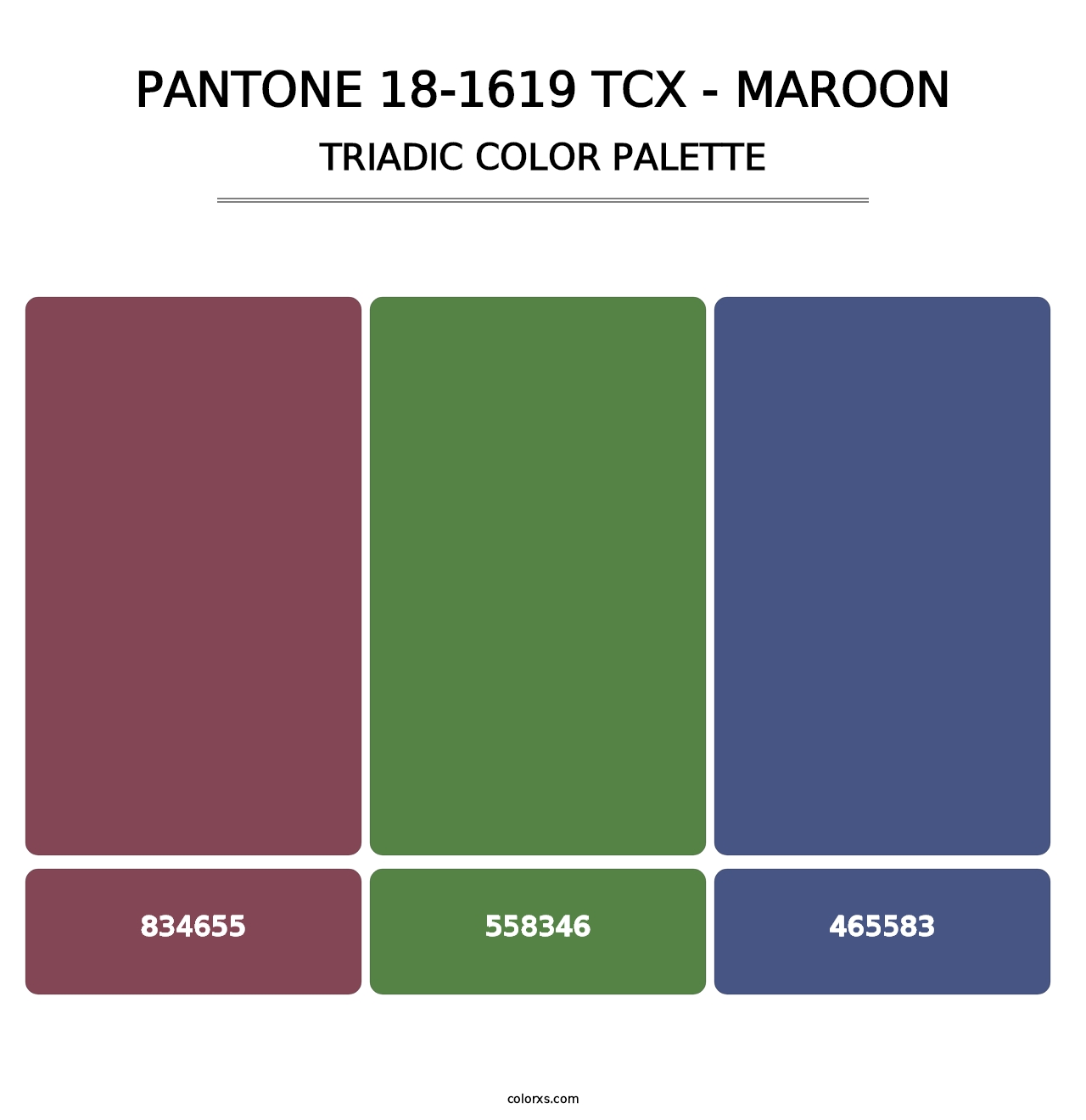 PANTONE 18-1619 TCX - Maroon - Triadic Color Palette
