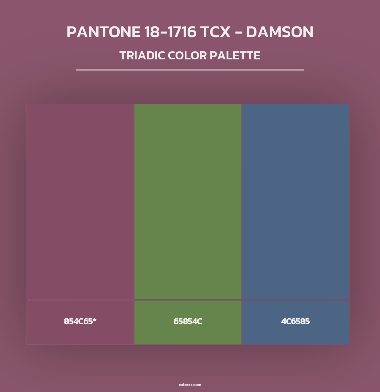 PANTONE 18-1716 TCX - Damson - Triadic Color Palette