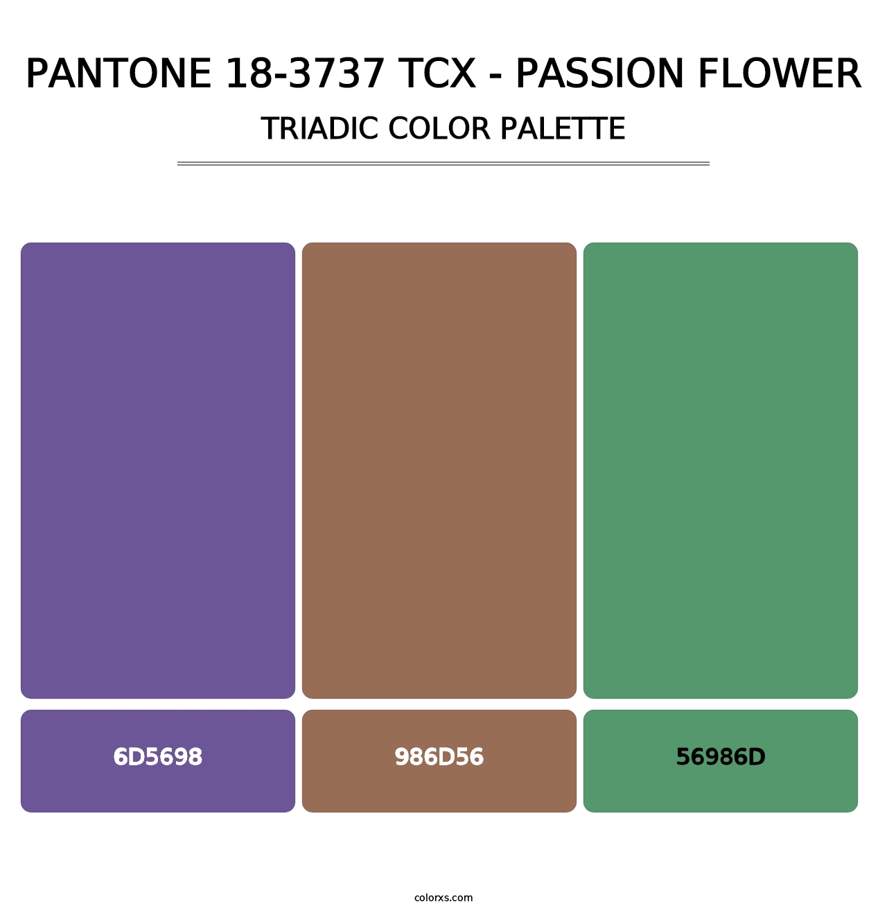 PANTONE 18-3737 TCX - Passion Flower - Triadic Color Palette