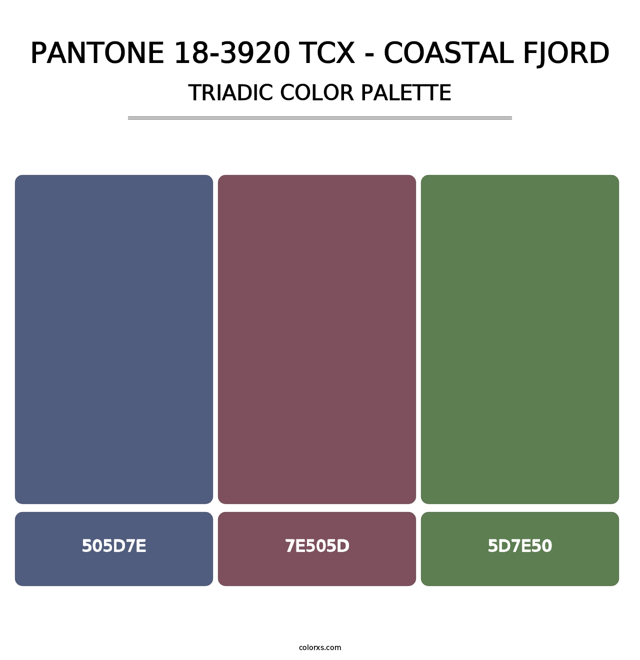 PANTONE 18-3920 TCX - Coastal Fjord - Triadic Color Palette