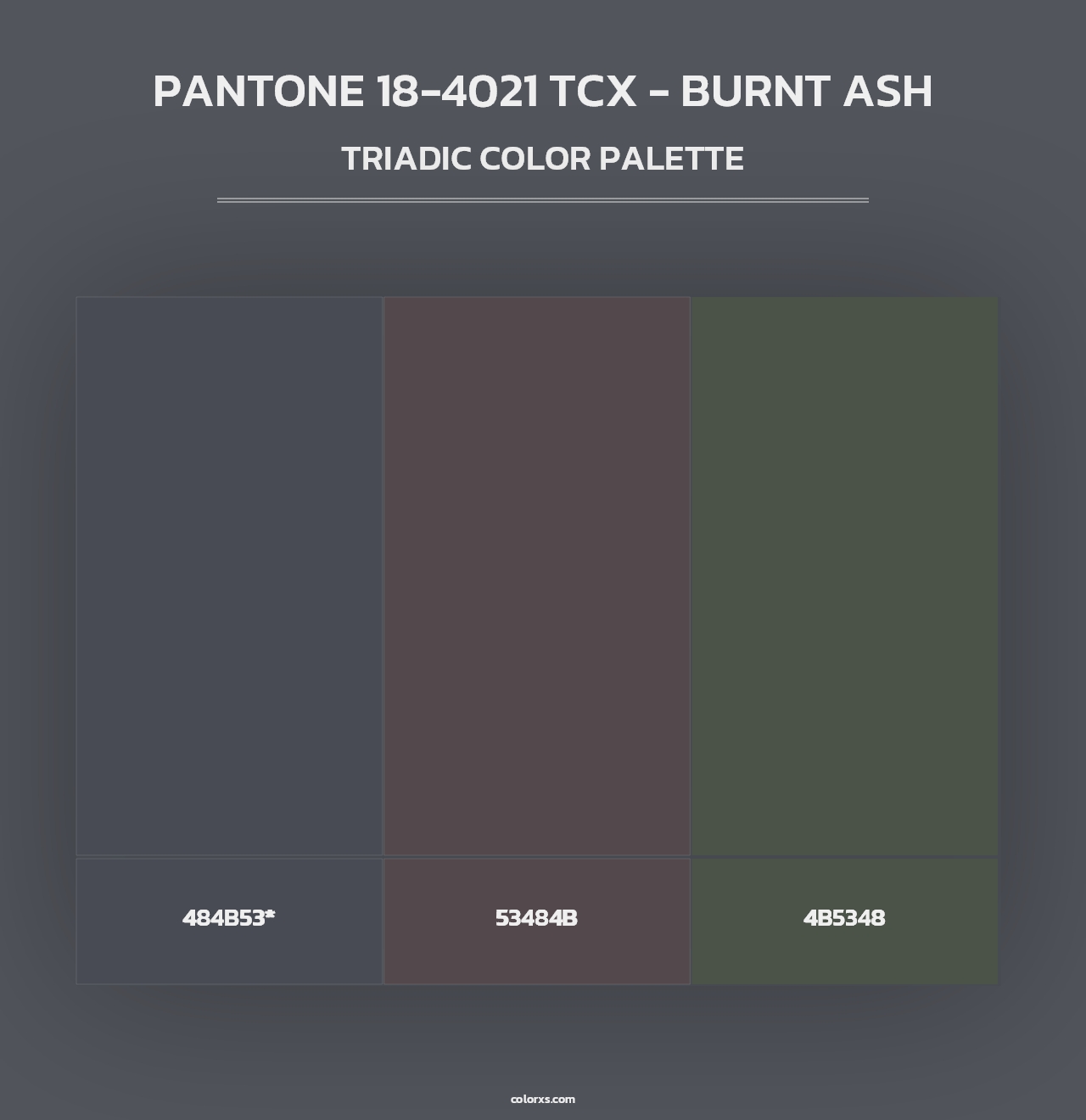 PANTONE 18-4021 TCX - Burnt Ash - Triadic Color Palette