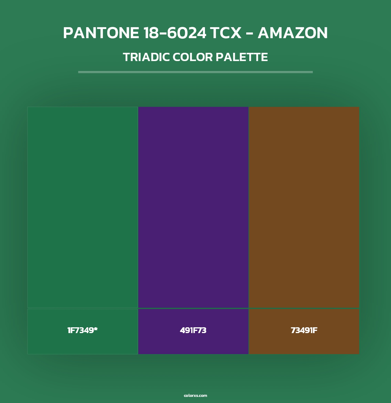 PANTONE 18-6024 TCX - Amazon - Triadic Color Palette