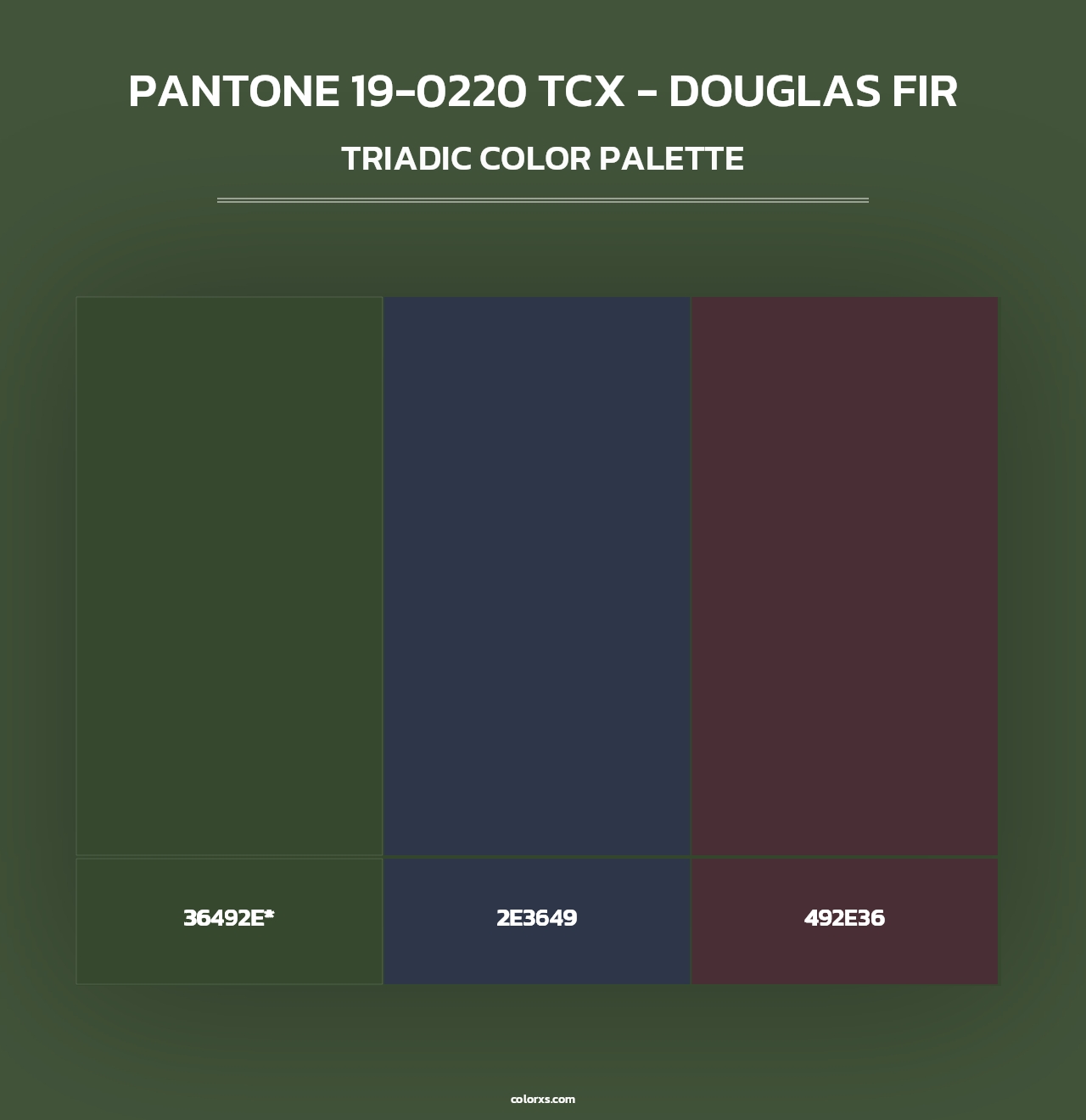 PANTONE 19-0220 TCX - Douglas Fir - Triadic Color Palette
