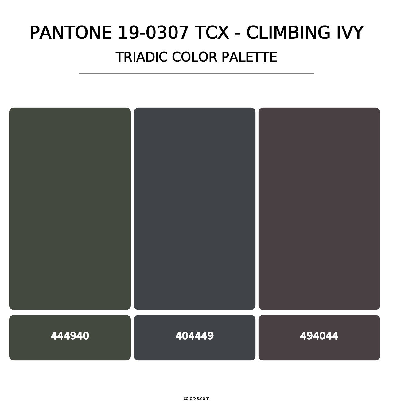 PANTONE 19-0307 TCX - Climbing Ivy - Triadic Color Palette