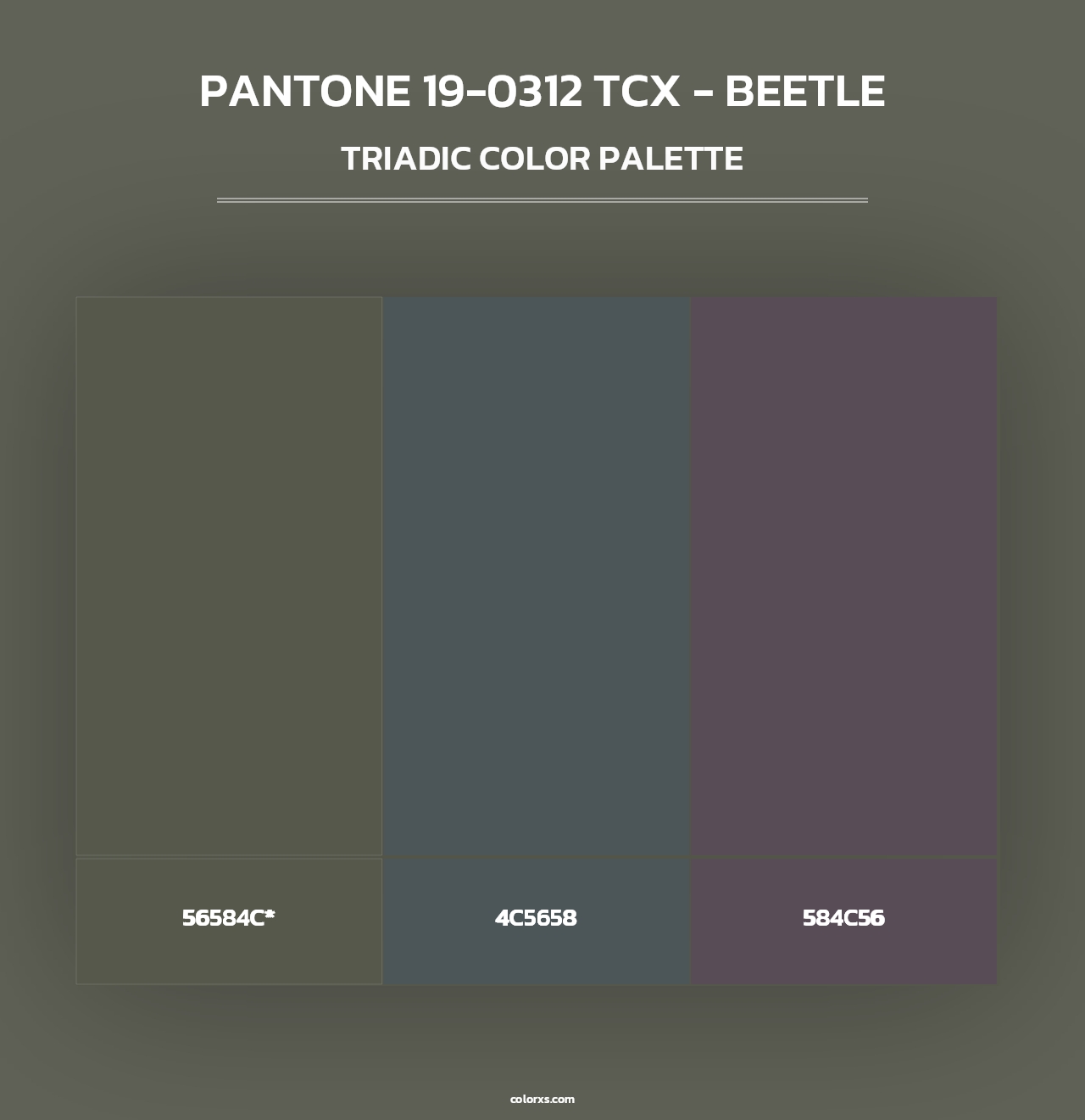 PANTONE 19-0312 TCX - Beetle - Triadic Color Palette