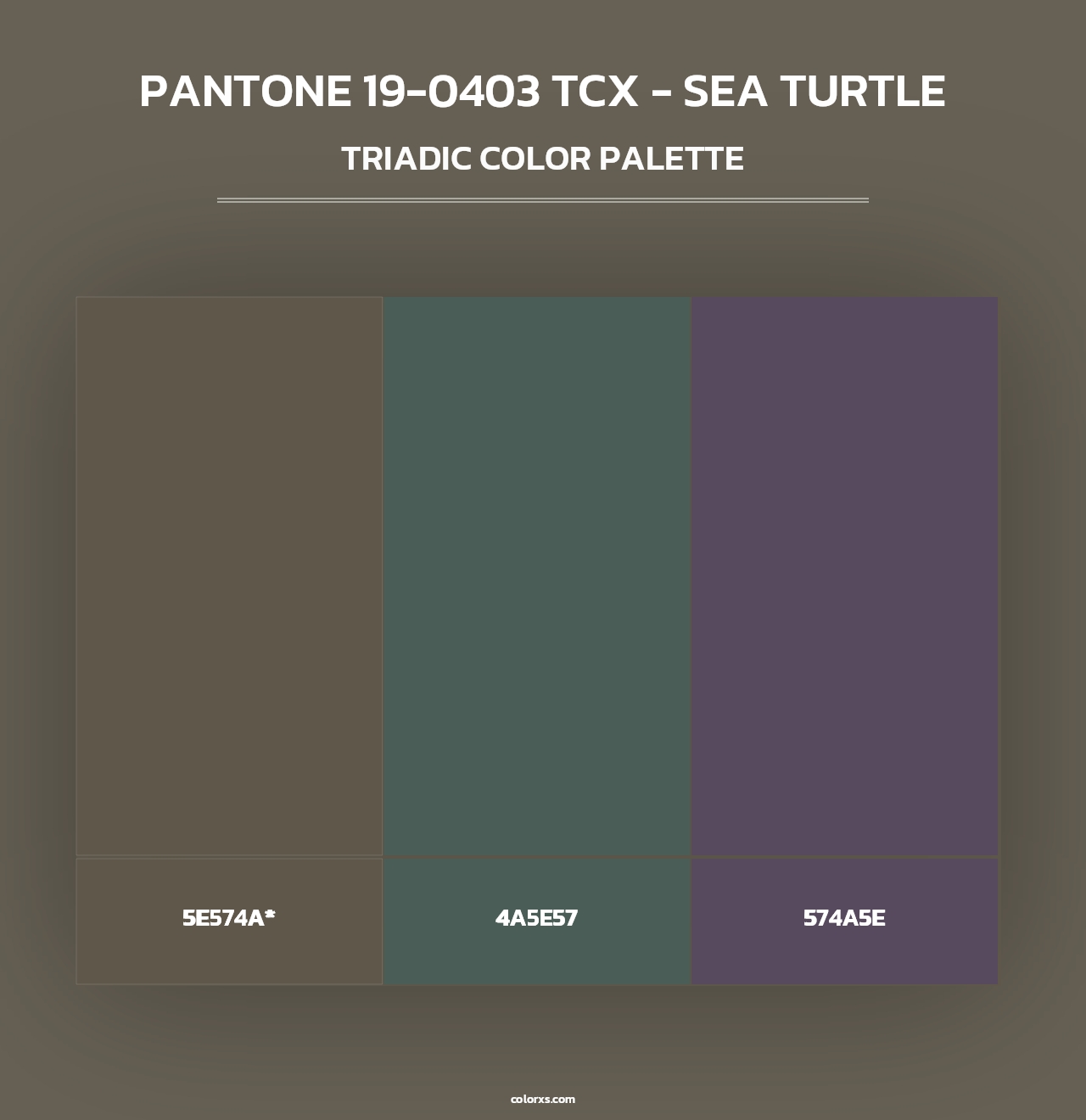 PANTONE 19-0403 TCX - Sea Turtle - Triadic Color Palette