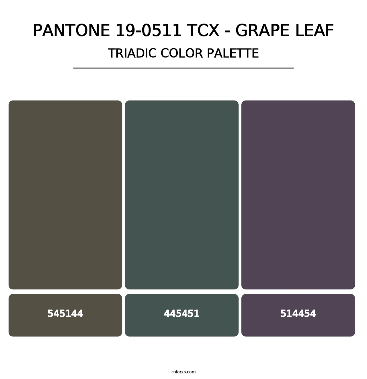PANTONE 19-0511 TCX - Grape Leaf - Triadic Color Palette