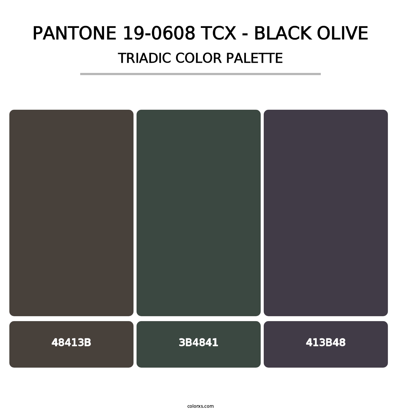 PANTONE 19-0608 TCX - Black Olive - Triadic Color Palette