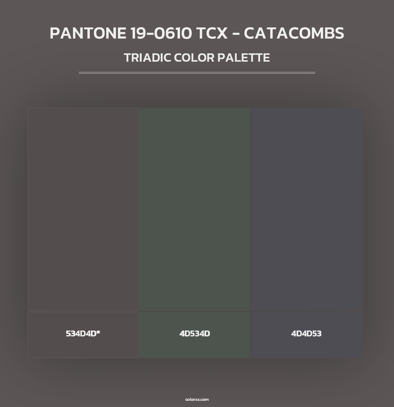 PANTONE 19-0610 TCX - Catacombs - Triadic Color Palette
