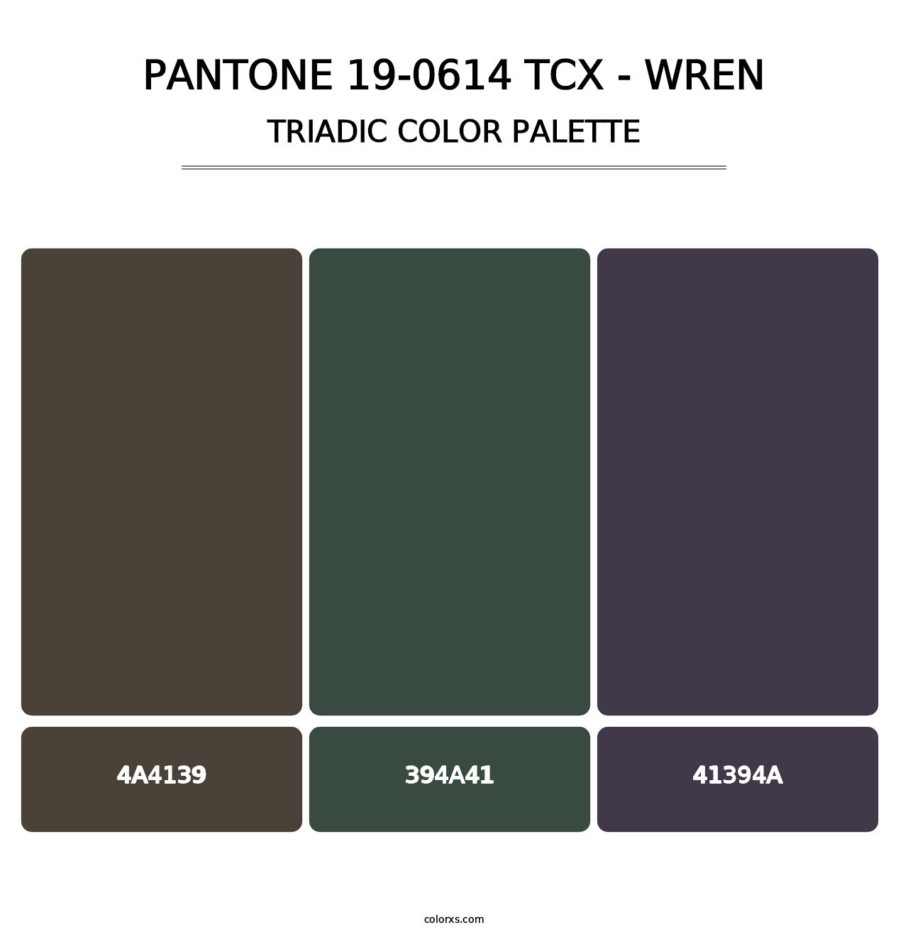 PANTONE 19-0614 TCX - Wren - Triadic Color Palette