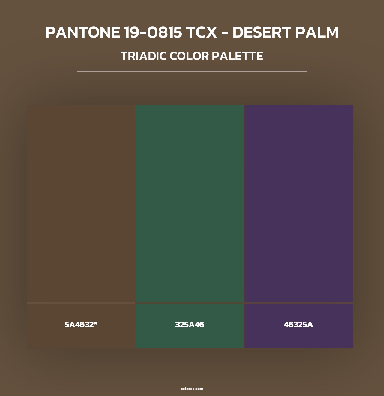PANTONE 19-0815 TCX - Desert Palm - Triadic Color Palette