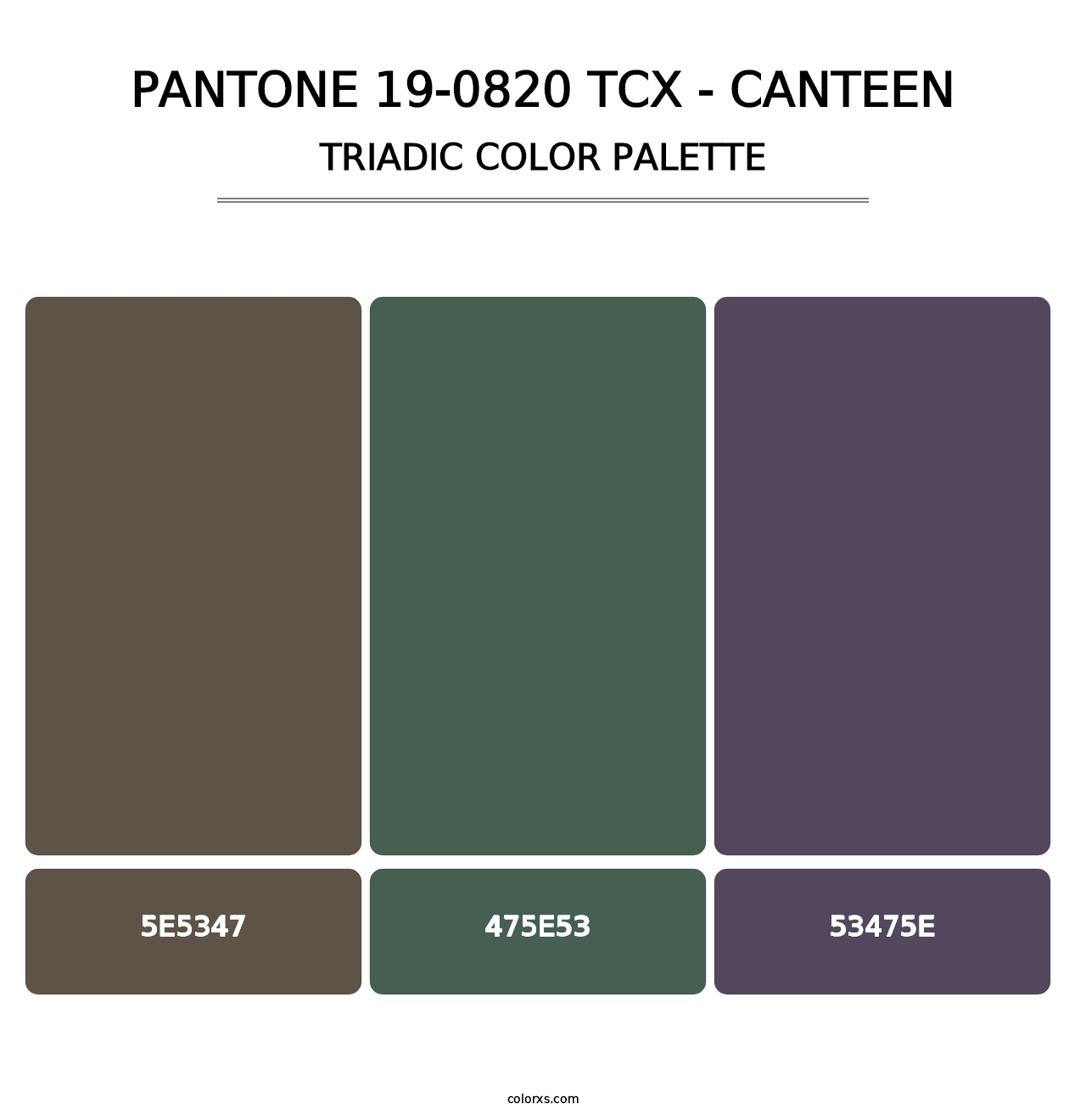 PANTONE 19-0820 TCX - Canteen - Triadic Color Palette