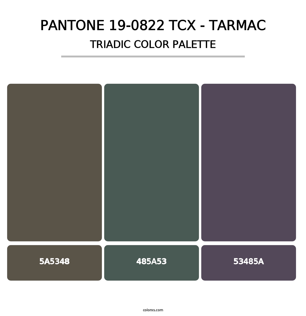 PANTONE 19-0822 TCX - Tarmac - Triadic Color Palette
