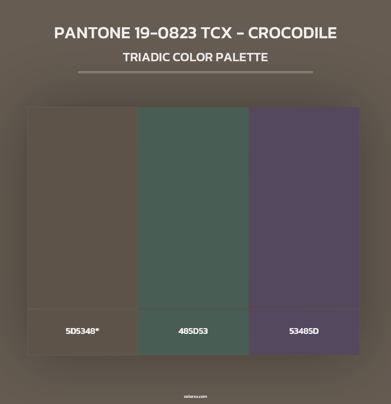 PANTONE 19-0823 TCX - Crocodile - Triadic Color Palette