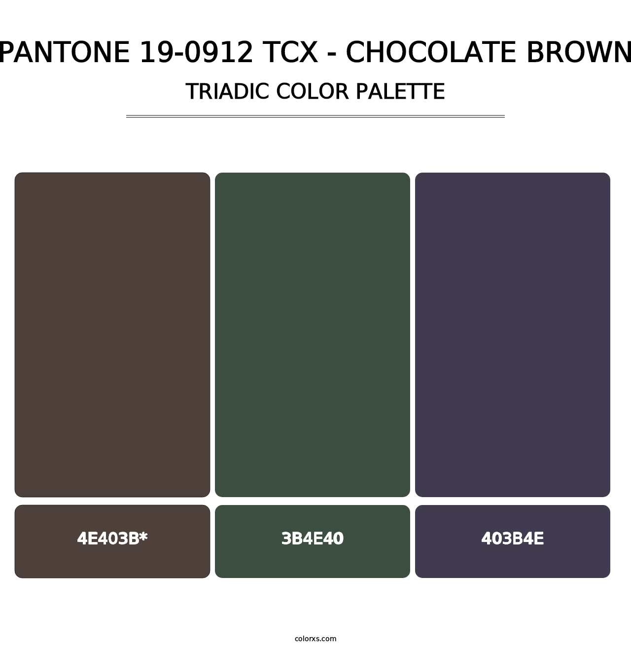 PANTONE 19-0912 TCX - Chocolate Brown - Triadic Color Palette