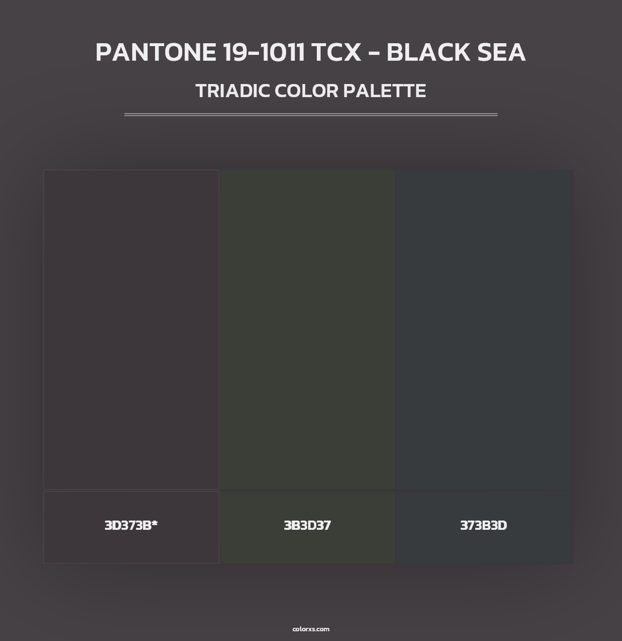 PANTONE 19-1011 TCX - Black Sea - Triadic Color Palette