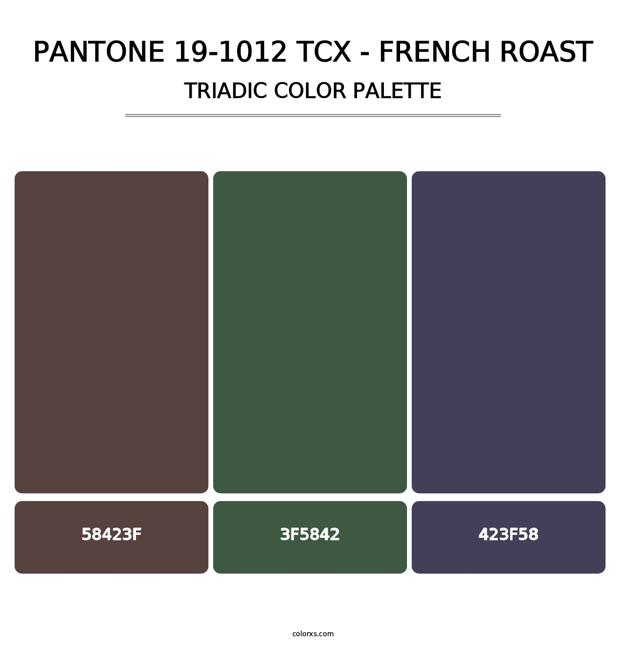 PANTONE 19-1012 TCX - French Roast - Triadic Color Palette