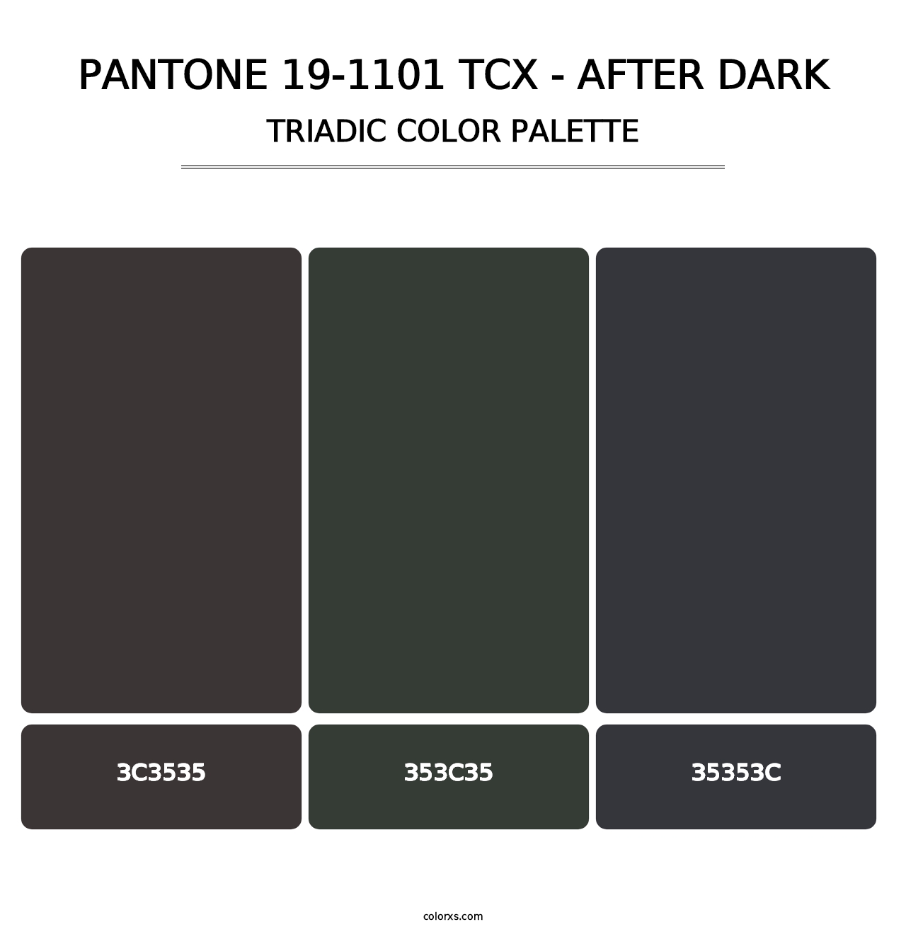 PANTONE 19-1101 TCX - After Dark - Triadic Color Palette