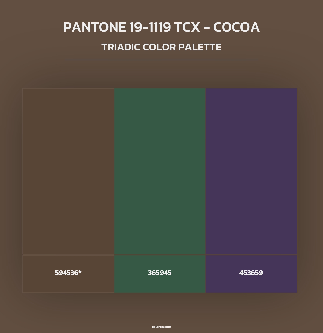 PANTONE 19-1119 TCX - Cocoa - Triadic Color Palette