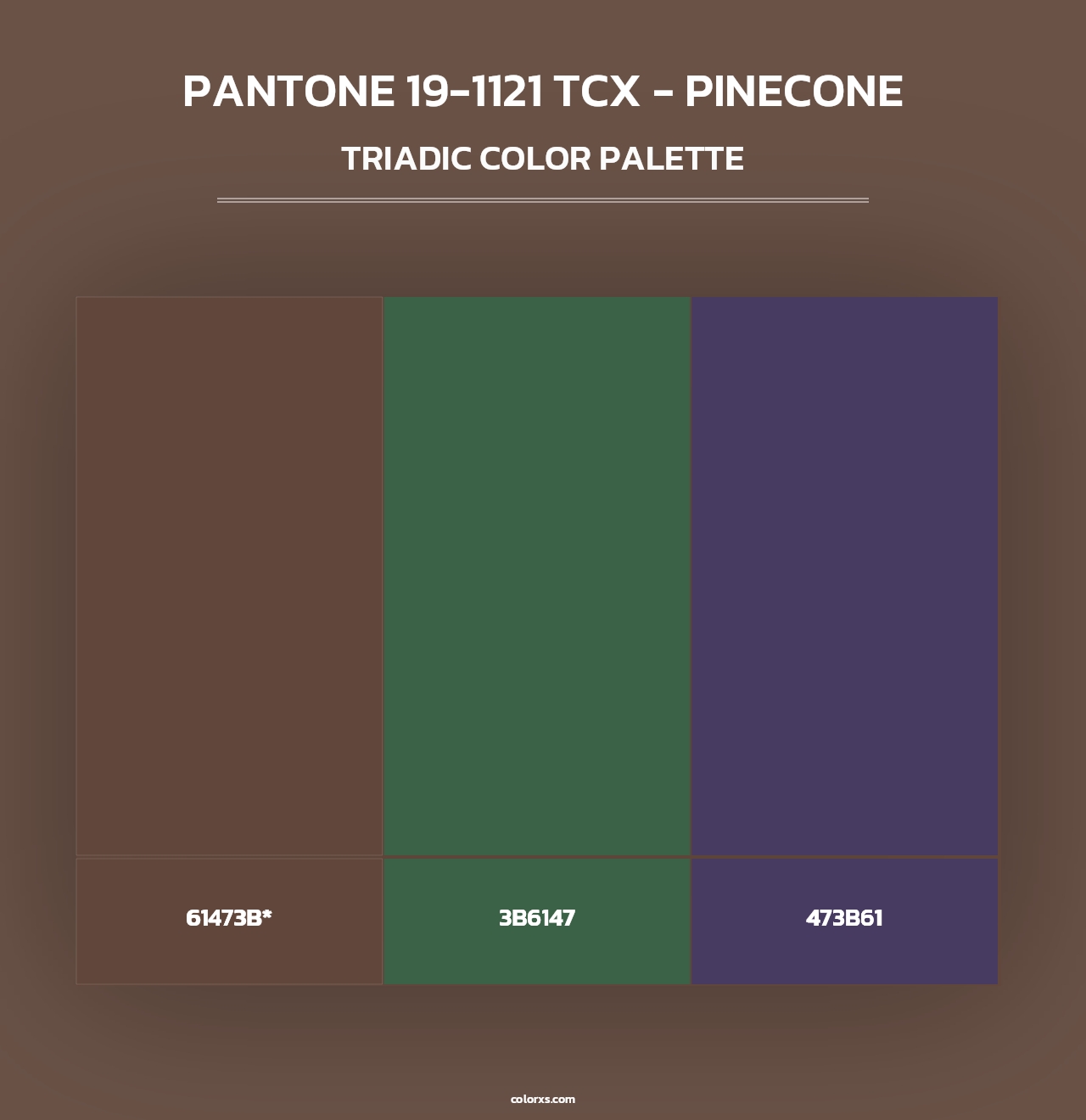 PANTONE 19-1121 TCX - Pinecone - Triadic Color Palette