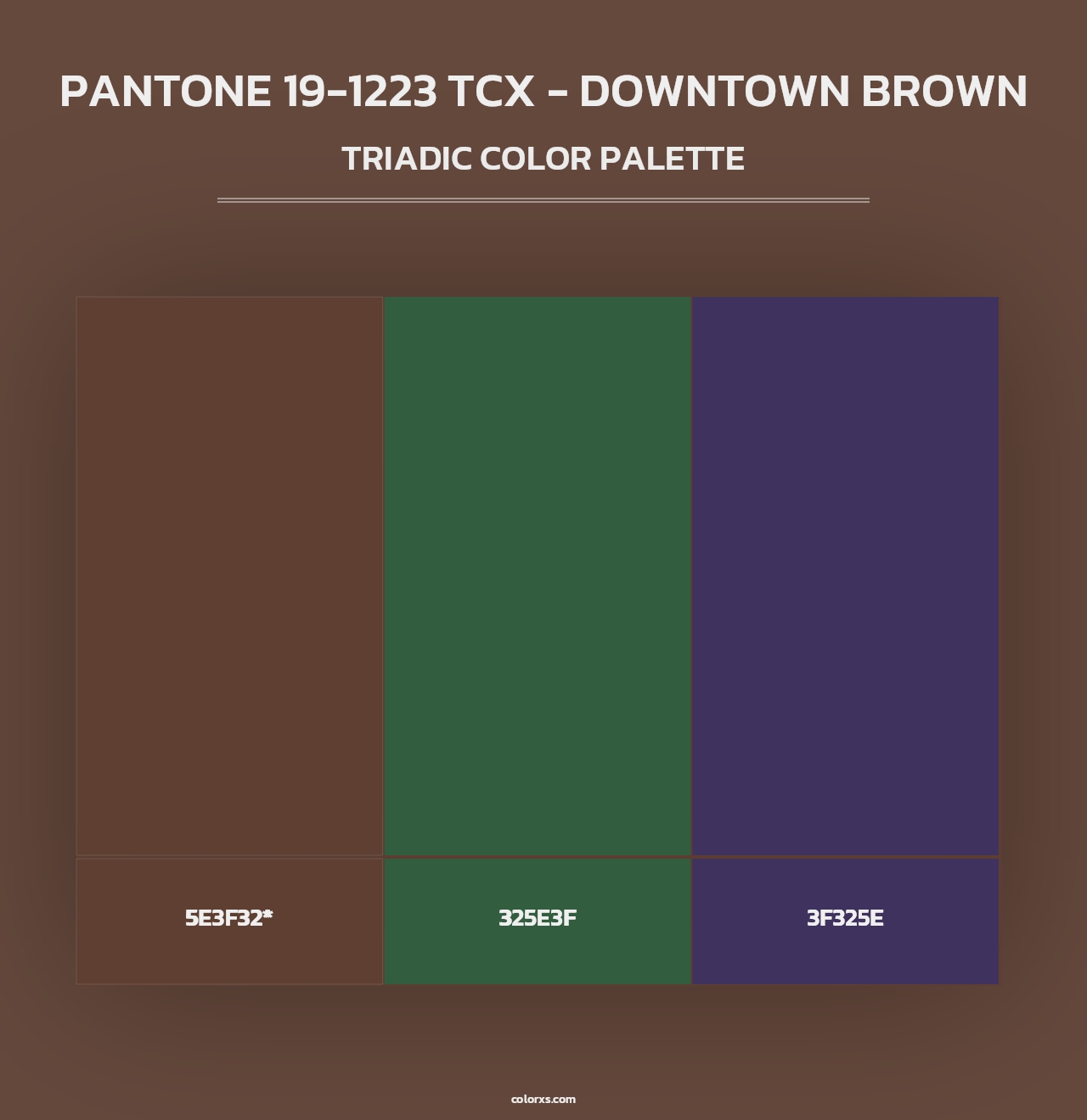 PANTONE 19-1223 TCX - Downtown Brown - Triadic Color Palette