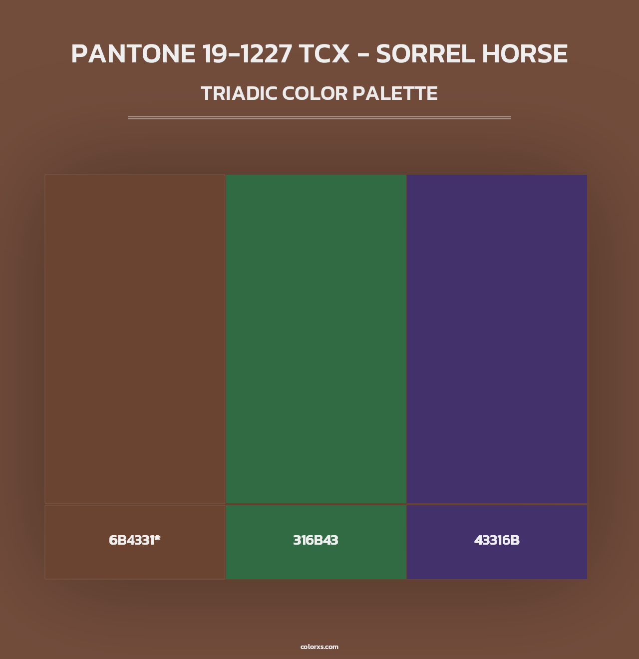 PANTONE 19-1227 TCX - Sorrel Horse - Triadic Color Palette