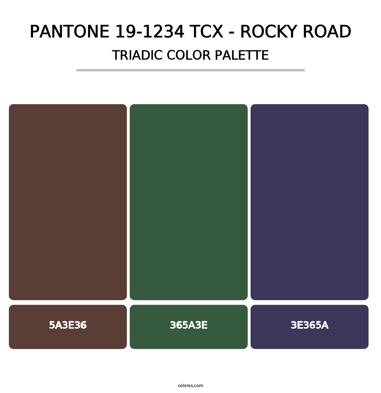 PANTONE 19-1234 TCX - Rocky Road - Triadic Color Palette