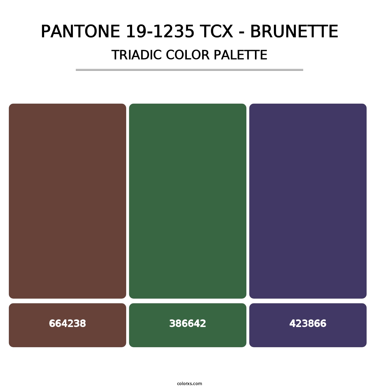 PANTONE 19-1235 TCX - Brunette - Triadic Color Palette