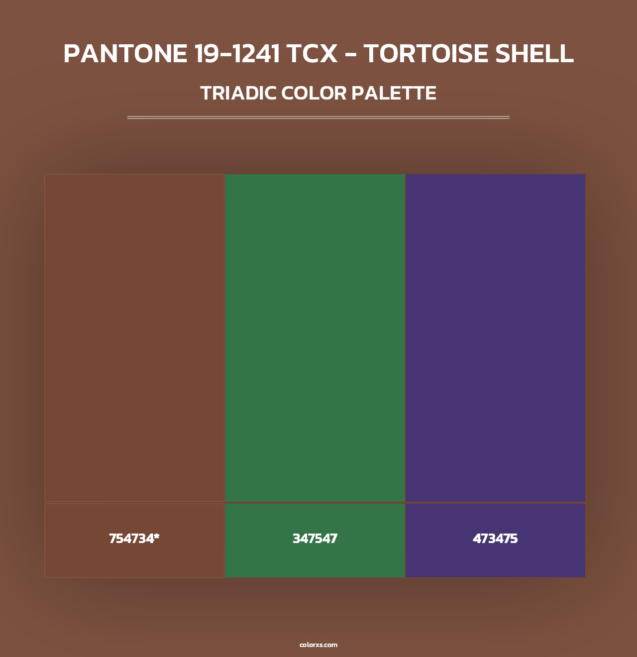 PANTONE 19-1241 TCX - Tortoise Shell - Triadic Color Palette