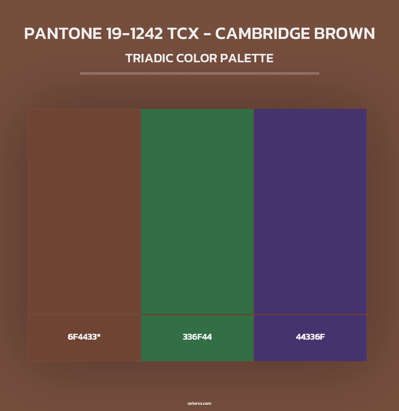 PANTONE 19-1242 TCX - Cambridge Brown - Triadic Color Palette