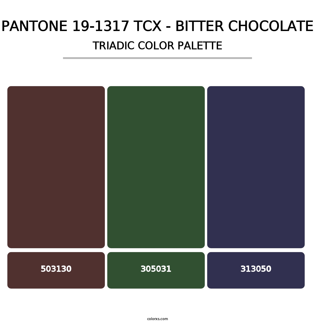 PANTONE 19-1317 TCX - Bitter Chocolate - Triadic Color Palette