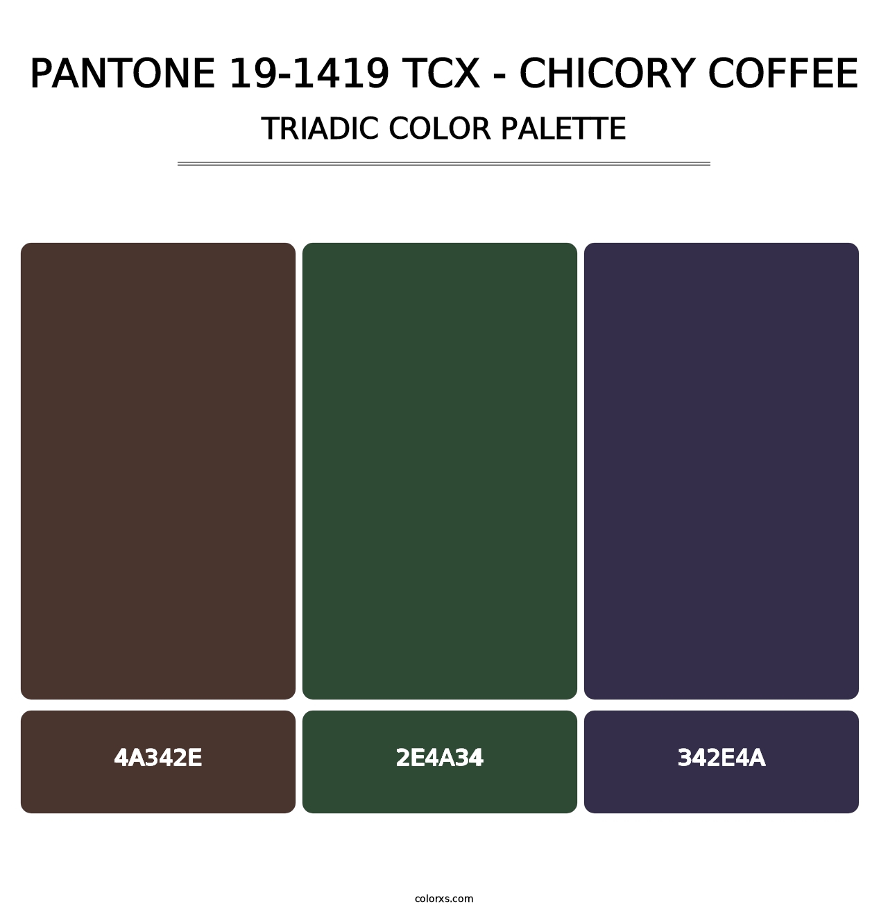 PANTONE 19-1419 TCX - Chicory Coffee - Triadic Color Palette
