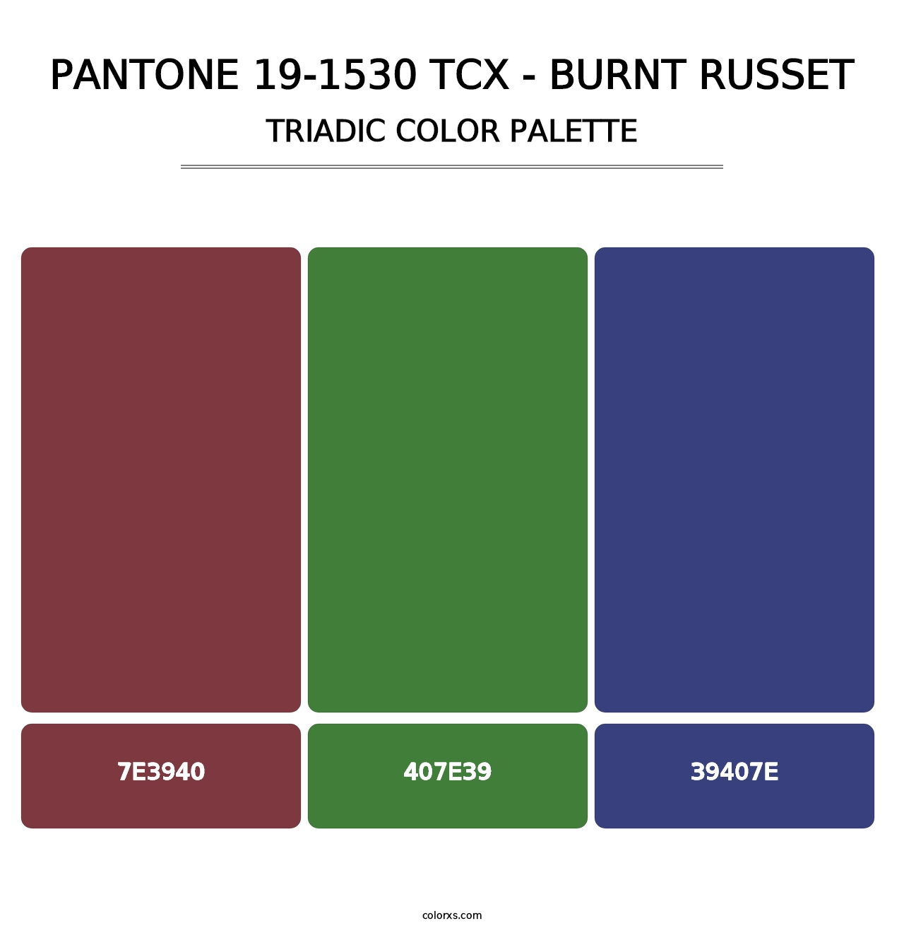 PANTONE 19-1530 TCX - Burnt Russet - Triadic Color Palette