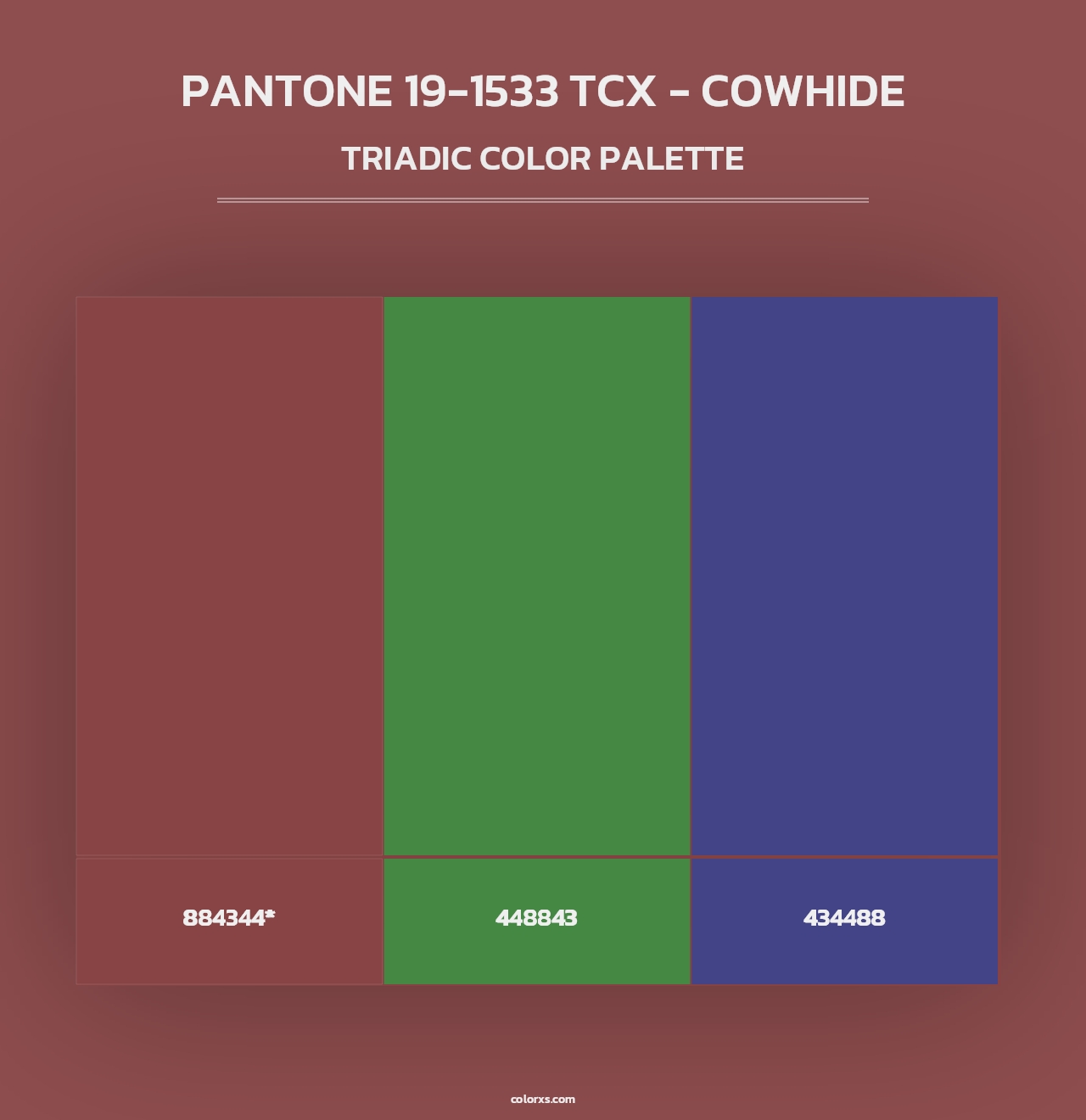 PANTONE 19-1533 TCX - Cowhide - Triadic Color Palette