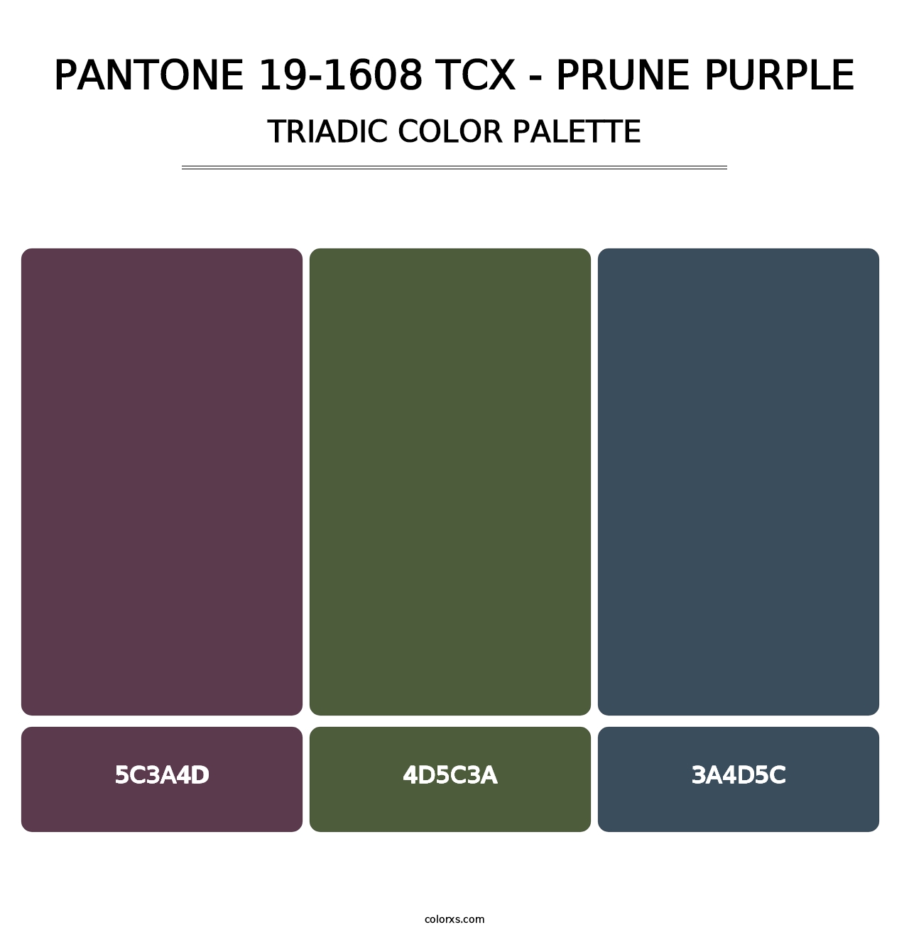 PANTONE 19-1608 TCX - Prune Purple - Triadic Color Palette