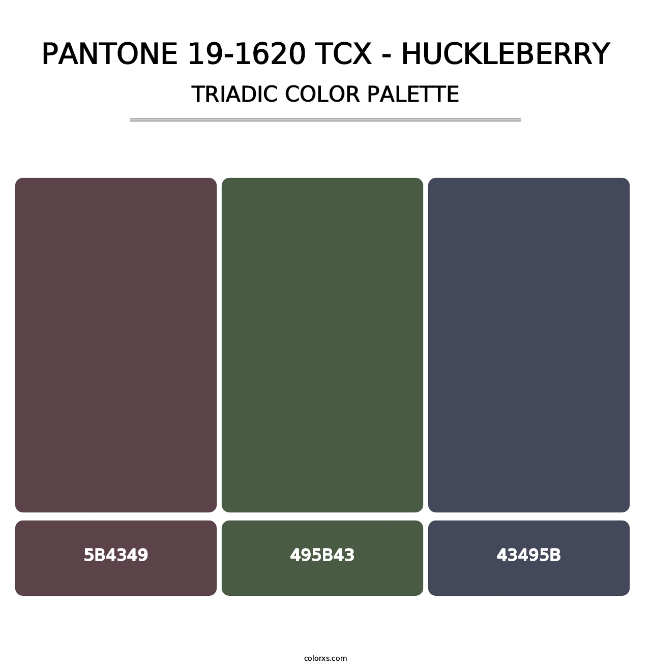 PANTONE 19-1620 TCX - Huckleberry - Triadic Color Palette