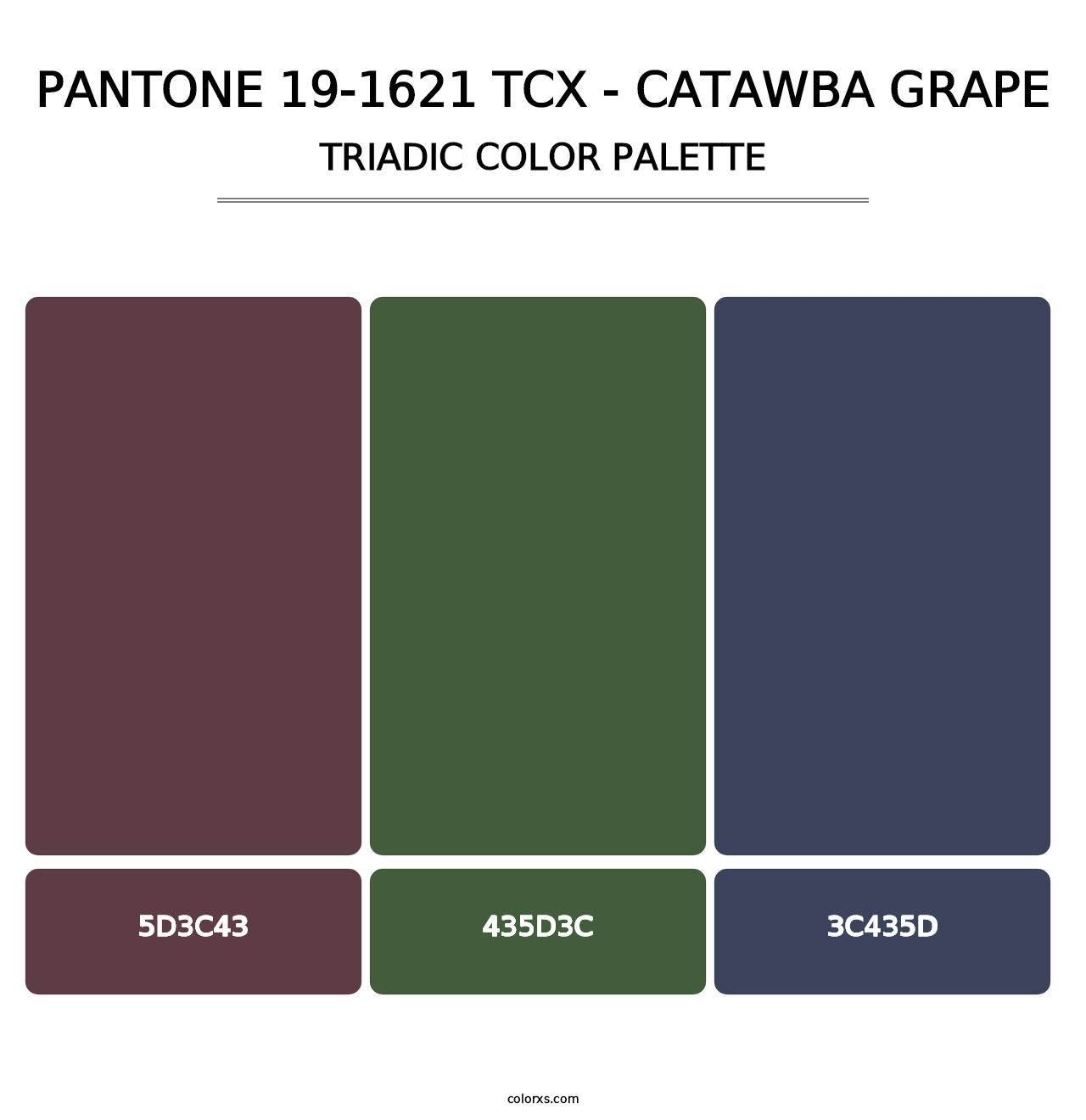 PANTONE 19-1621 TCX - Catawba Grape - Triadic Color Palette
