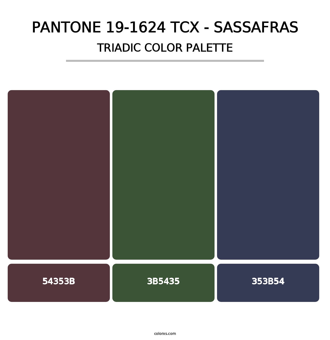PANTONE 19-1624 TCX - Sassafras - Triadic Color Palette