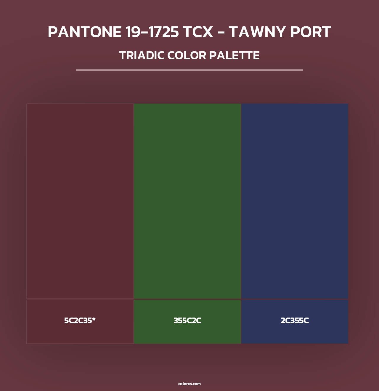 PANTONE 19-1725 TCX - Tawny Port - Triadic Color Palette