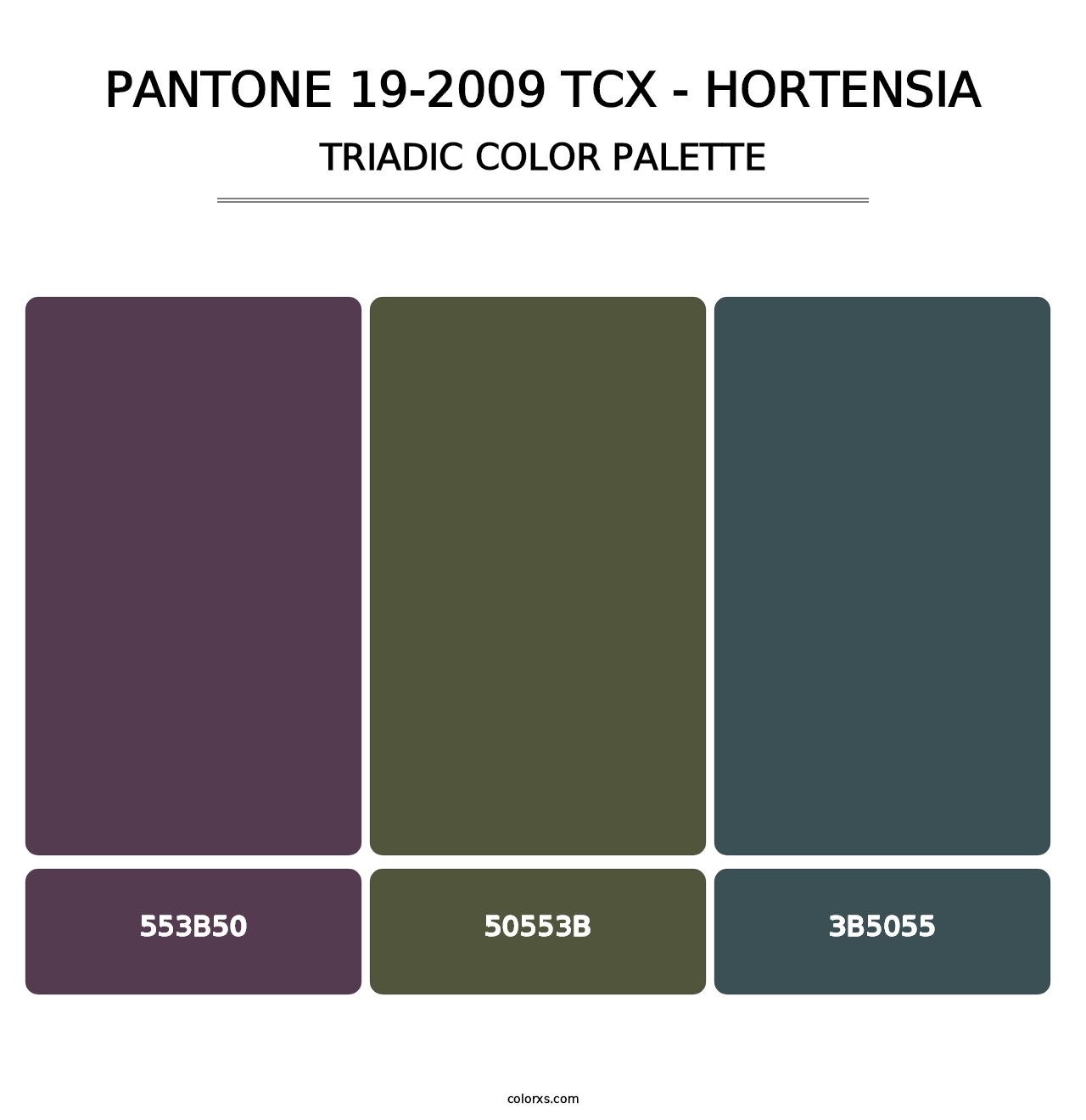 PANTONE 19-2009 TCX - Hortensia - Triadic Color Palette